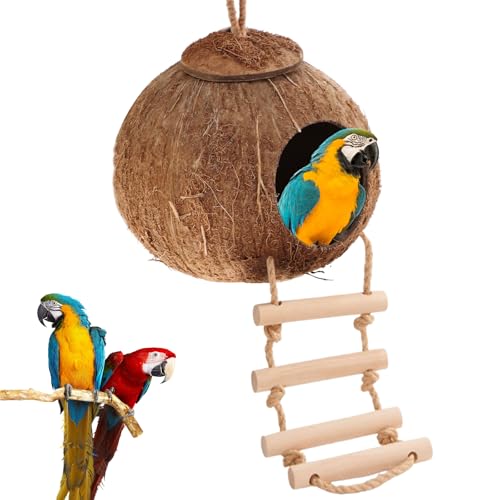 Handgefertigtes Vogelhaus aus Kokosnuss, Recycelte Kokosnussschale, Vogelfutterstation im Leiterstil, Wetterfester Nistkasten für Reptilien Kleine Vögel Tierliebhaber und Garten- Handgefertigtes Vogelhaus aus Kokosnuss, Recycelte Kokosnussschale, Vogelfutterstation im Leiterstil, Wetterfester Nistkasten für Reptilien Kleine Vögel Tierliebhaber und Garten- von Calenxy