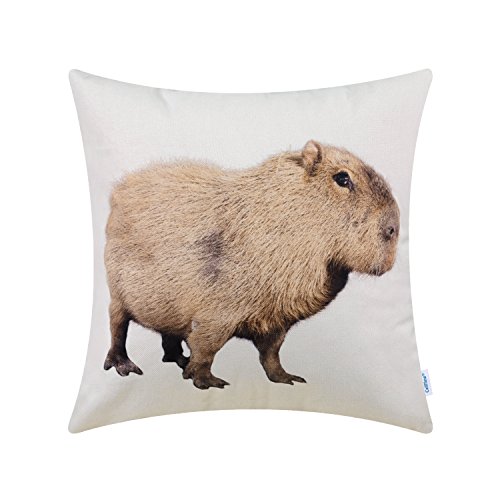 CaliTime Leinwand Dekokissen Hülle für Couch Sofa Dekoration Tiere Theme Druck 45 cm x 45 cm Capybara von CaliTime