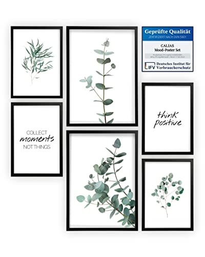 Calias® Mood-Poster Set Eukalyptus | 2X DIN A3 und 4X DIN A4 | 6er Bilder Set ohne Rahmen von Calias
