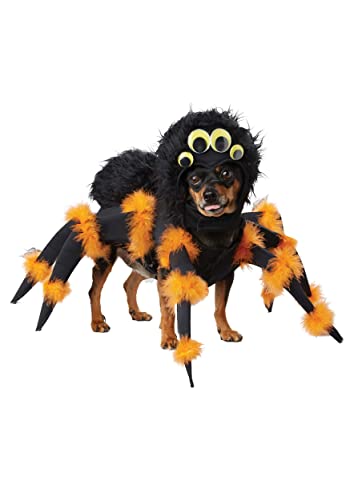California Costumes Hundekostüm im Spinnen-Look, Schwarz/Orange, Größe XS von California Costumes