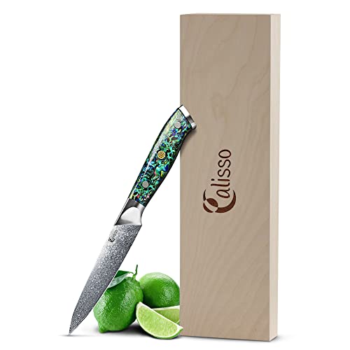 Calisso Allzweckmesser 67 Lagen Damaststahl - Damastmesser, Küchenmesser, Kochmesser von Calisso