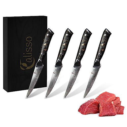 Calisso Steakmesser Set - 4 teilig - Küchenmesserset, Steakmesserset, Kochmesser, Messer, Damastmesser von Calisso