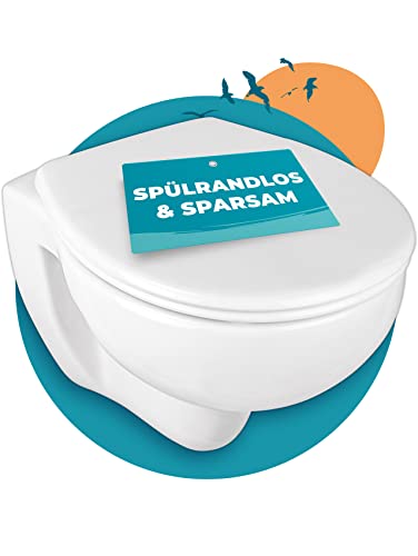 Calmwaters® Premium Hänge WC spülrandlos, weniger Bakterien, wassersparendes Wand , geruchsarmer Tiefspüler, inkl. Toilettendeckel aus robustem Duroplast mit Absenkautomatik und Abnahmefunktion von Calmwaters