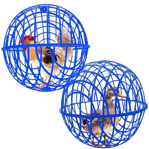 CalorMixs 40 cm kugelförmiger, beweglicher Hühnerstall, für Tauben, Kaninchen, Enten, sicheres Gehnetz, verhindert das Trampeln von Pferden, Raubtieren durch Adler, Hundebisse. Abnehmbares Haustier CalorMixs 40 cm kugelförmiger, beweglicher Hühnerstall, für Tauben, Kaninchen, Enten, sicheres Gehnetz, verhindert das Trampeln von Pferden, Raubtieren durch Adler, Hundebisse. Abnehmbares Haustier von CalorMixs