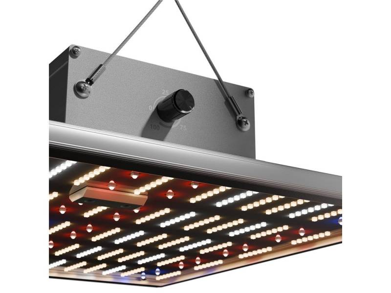 Caluma Pflanzenlampe Caluma LED Grow Lampe Force 150 W, 38x38x7cm, 2,7 µmol/J, 405 µmol/s, Dimmfunktion, LED fest integriert, Vollspektrum von Caluma