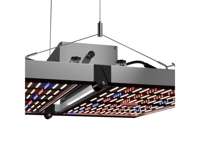 Caluma Pflanzenlampe Caluma LED Grow Lampe Force 320 W, 59,5 x 60 x 11 cm, 2,7 µmol/J, 830, Dimmfunktion, LED fest integriert, Vollspektrum, cm Caluma Pflanzenlampe Caluma LED Grow Lampe Force 320 W, 59,5 x 60 x 11 cm, 2,7 µmol/J, 830, Dimmfunktion, LED fest integriert, Vollspektrum, cm von Caluma