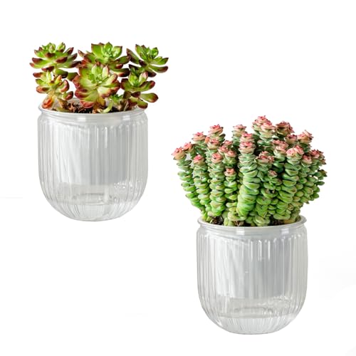 Calvalor Selbstbewässerungstopf Pflanzentopf Blumentopf übertopf, Ø 10.8cm 2er-Pack übertöpfe für Zimmerpflanzen Pflanztöpfe, Blumentöpfe Hydrokultur Topf, Blumenkübel Outdoor Pflanztopf Calvalor Selbstbewässerungstopf Pflanzentopf Blumentopf übertopf, Ø 10.8cm 2er-Pack übertöpfe für Zimmerpflanzen Pflanztöpfe, Blumentöpfe Hydrokultur Topf, Blumenkübel Outdoor Pflanztopf von Calvalor