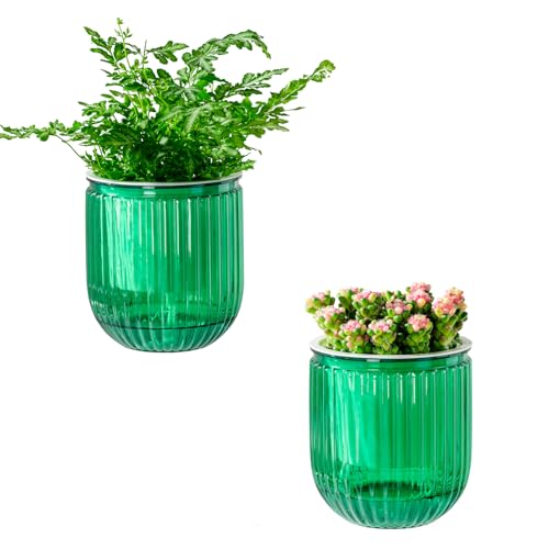 Calvalor Selbstbewässerungstopf Pflanzentopf Blumentopf übertopf, Ø 11.8cm 2er-Pack übertöpfe für Zimmerpflanzen Pflanztöpfe, Blumentöpfe Hydrokultur Topf, Blumenkübel Outdoor Pflanztopf Calvalor Selbstbewässerungstopf Pflanzentopf Blumentopf übertopf, Ø 11.8cm 2er-Pack übertöpfe für Zimmerpflanzen Pflanztöpfe, Blumentöpfe Hydrokultur Topf, Blumenkübel Outdoor Pflanztopf von Calvalor
