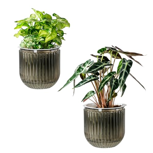 Calvalor Selbstbewässerungstopf Pflanzentopf Blumentopf übertopf, Ø 13.5cm 2er-Pack übertöpfe für Zimmerpflanzen Pflanztöpfe, Blumentöpfe Hydrokultur Topf, Blumenkübel Outdoor Pflanztopf Calvalor Selbstbewässerungstopf Pflanzentopf Blumentopf übertopf, Ø 13.5cm 2er-Pack übertöpfe für Zimmerpflanzen Pflanztöpfe, Blumentöpfe Hydrokultur Topf, Blumenkübel Outdoor Pflanztopf von Calvalor