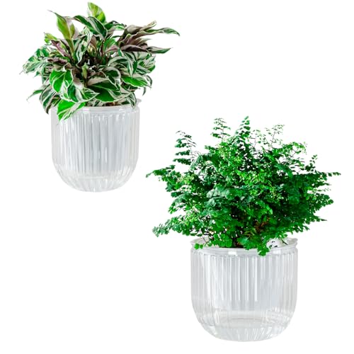 Calvalor Selbstbewässerungstopf Pflanzentopf Blumentopf übertopf, Ø 16.5/13.5cm 2er-Pack übertöpfe für Zimmerpflanzen Pflanztöpfe, Blumentöpfe Hydrokultur Topf, Blumenkübel Outdoor Pflanztopf von Calvalor