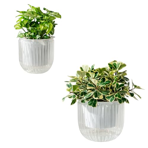 Calvalor Selbstbewässerungstopf Pflanzentopf Blumentopf übertopf, Ø 21/13.5cm 2er-Pack übertöpfe für Zimmerpflanzen Pflanztöpfe, Blumentöpfe Hydrokultur Topf, Blumenkübel Outdoor Pflanztopf von Calvalor