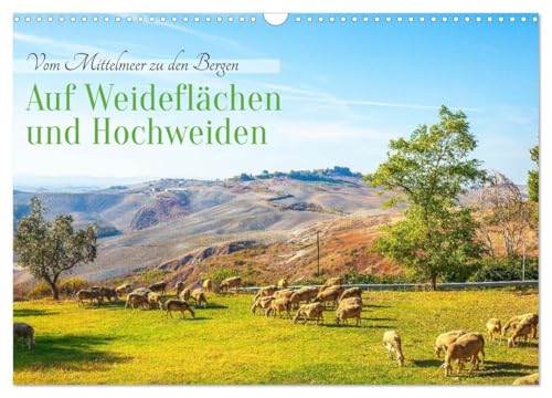 Auf Weideflächen und Hochweiden (Wandkalender 2026 DIN A3 quer), CALVENDO Monatskalender: Um etwa 5500 v. Chr. hatte sich Viehhaltung in Mitteleuropa etabliert (CALVENDO Tiere) von Calvendo