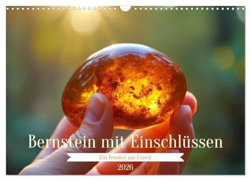 Bernstein mit Einschlüssen (Wandkalender 2026 DIN A3 quer), CALVENDO Monatskalender: Bernstein, auch Inklusen genannt, ist fossiles Harz, das vor ... eingeschlossen hat. (CALVENDO Hobbys) von Calvendo