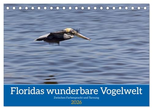 Floridas wunderbare Vogelwelt (Tischkalender 2026 DIN A5 quer), CALVENDO Monatskalender: Entdecke die Vogelwelt Floridas in einem einzigartigen Fotokalender (CALVENDO Tiere) von Calvendo