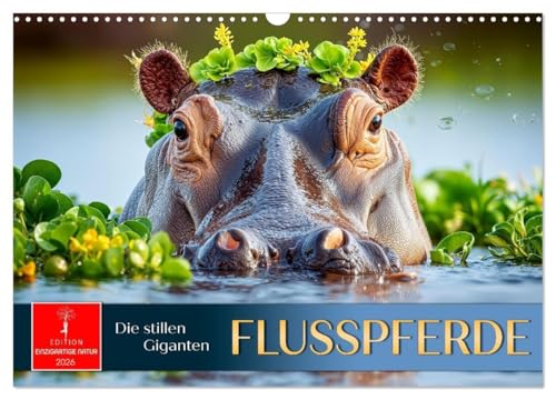 Flusspferde - die stillen Giganten (Wandkalender 2026 DIN A3 quer), CALVENDO Monatskalender: Sanfte Giganten. Staunen. Schmunzeln. Träumen. (CALVENDO Tiere) von Calvendo