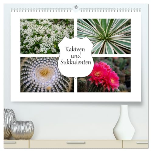 Kakteen und Sukkulenten (hochwertiger Premium Wandkalender 2026 DIN A2 quer), Kunstdruck in Hochglanz: Es handelt sich hierbei um wasserspeichernde ... angepasst sind. (CALVENDO Natur) von CALVENDO