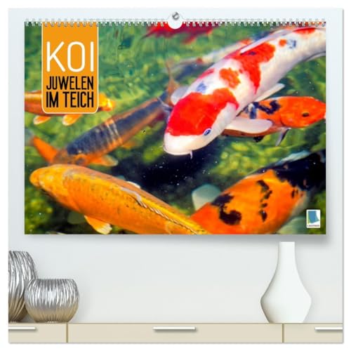 Koi: Juwelen im Teich (hochwertiger Premium Wandkalender 2026 DIN A2 quer), Kunstdruck in Hochglanz: Kois: Schöne Statussymbole (CALVENDO Tiere) von CALVENDO