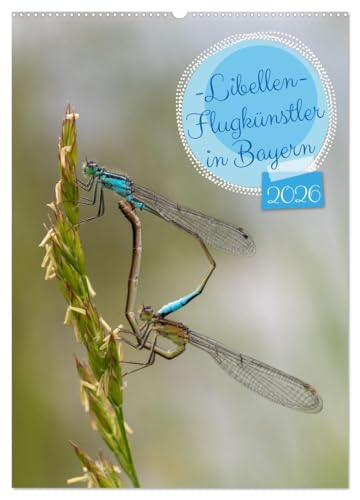Libellen - Flugkünstler in Bayern (Wandkalender 2026 DIN A2 hoch), CALVENDO Monatskalender: Bayerns Libellen: Bunte Flugkünstler der Natur von CALVENDO