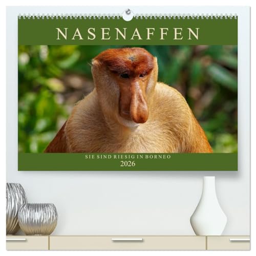 Nasenaffen von Borneo (hochwertiger Premium Wandkalender 2026 DIN A2 quer), Kunstdruck in Hochglanz von CALVENDO
