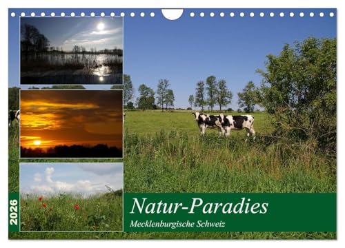 Natur-Paradies Mecklenburgische Schweiz (Wandkalender 2026 DIN A4 quer), CALVENDO Monatskalender (CALVENDO Natur) von CALVENDO