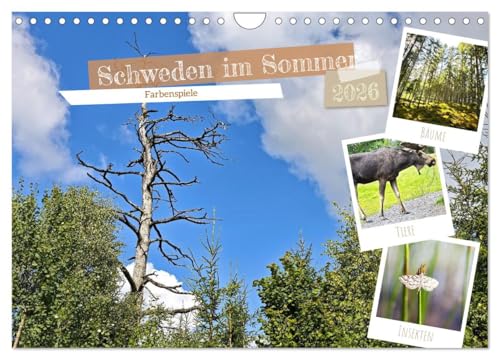 Schweden im Sommer (Wandkalender 2026 DIN A4 quer), CALVENDO Monatskalender: Licht, Natur und Freiheit (CALVENDO Orte) von CALVENDO