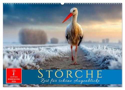 Störche - Zeit für schöne Augenblicke (Wandkalender 2026 DIN A2 quer), CALVENDO Monatskalender: Monat für Monat Vogelpoesie mit langen Flügeln. (CALVENDO Tiere) von Calvendo
