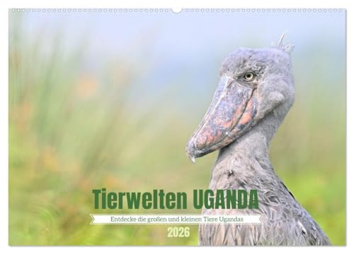 Tierwelten UGANDA (Wandkalender 2026 DIN A2 quer), CALVENDO Monatskalender: Tierwelten Uganda – Afrikas faszinierende Tierwelt in Bildern (CALVENDO Tiere) von Calvendo