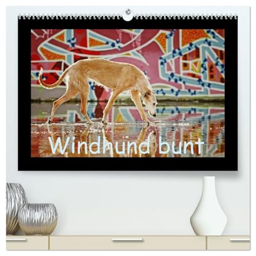 Windhund bunt (hochwertiger Premium Wandkalender 2026 DIN A2 quer), Kunstdruck in Hochglanz: ...mit den zauberhaften Langnasen durch die Natur (CALVENDO Tiere) von CALVENDO
