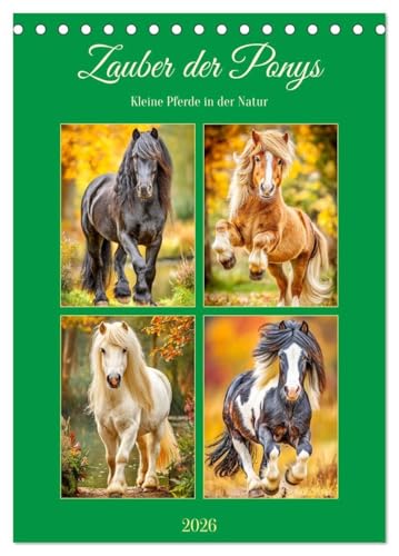 Zauber der Ponys. Kleine Pferde in der Natur (Tischkalender 2026 DIN A5 hoch), CALVENDO Monatskalender: Die liebenswerte Welt der Ponys in malerischen Landschaften (CALVENDO Tiere) von Calvendo