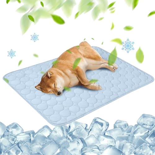 Kühlmatte für Hunde, 2025 Upgrade Groß, Selbstkühlende Haustiermatte aus Eisseide, Kühlbett für Auto, Sofa, Boden, Hundebett, Rutschfest, Abriebfest, Bissfest, Waschbar (Hellblau, XXL : 150*100cm) Kühlmatte für Hunde, 2025 Upgrade Groß, Selbstkühlende Haustiermatte aus Eisseide, Kühlbett für Auto, Sofa, Boden, Hundebett, Rutschfest, Abriebfest, Bissfest, Waschbar (Hellblau, XXL : 150*100cm) von Camic