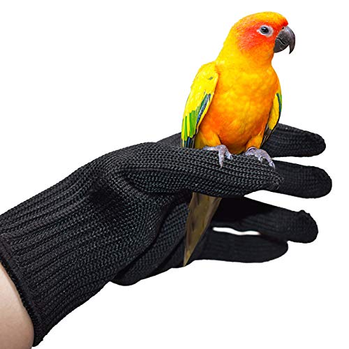 Camidy Vogeltraining Anti- Biss- Handschuhe Papageien- Schutzhandschuhe für Papageien Tiere Die mit Handschuhen Umgehen Und Stahldraht- Schutzhandschuhe Kauen von Camidy