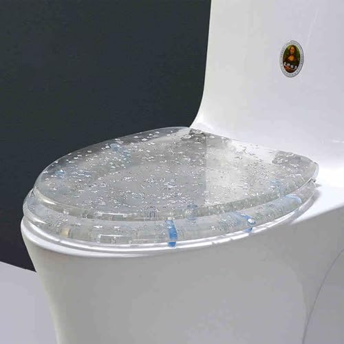 Cammeciso WC Sitz Aus Harz Mit Schnellverschluss,Transparenter WC-Sitz,Toilettendeckel,WC Sitz Toilettendeckel Glitzer,Transparenter Harz-WC-Sitz,Toilettendeckel Mit Absenkautomatik,V-förmige. von Cammeciso