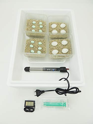 Campo24 ST1 Reptilien Inkubator Brutkasten Brutmaschine Brutapparat Brüter Incubator Campo24 ST1 Reptilien Inkubator Brutkasten Brutmaschine Brutapparat Brüter Incubator von Campo24
