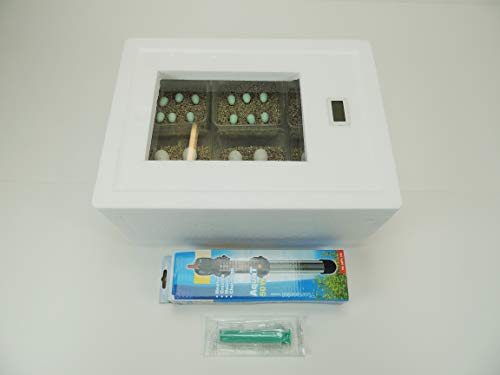 Campo24 ST2 Reptilien Inkubator Brutkasten Brutmaschine Brutapparat Brüter Incubator Campo24 ST2 Reptilien Inkubator Brutkasten Brutmaschine Brutapparat Brüter Incubator von Campo24