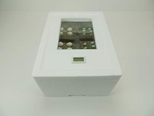 Campo24 ST3 Reptilien Inkubator Brutkasten Brutmaschine Brutapparat Brüter Incubator Campo24 ST3 Reptilien Inkubator Brutkasten Brutmaschine Brutapparat Brüter Incubator von Campo24