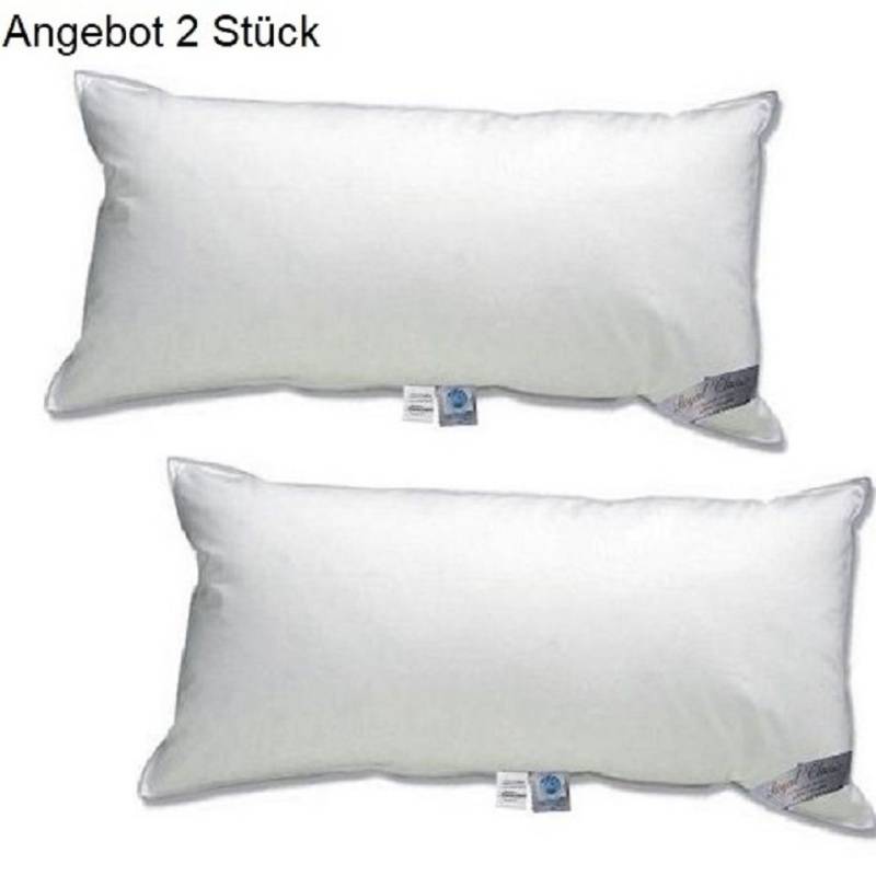 Canada Kopfkissen Set 2 Royal Canada Goose Kissen Gänsefedern -daune 85/15 Kl.1 40x80cm waschbar Canada Kopfkissen Set 2 Royal Canada Goose Kissen Gänsefedern -daune 85/15 Kl.1 40x80cm waschbar von Canada