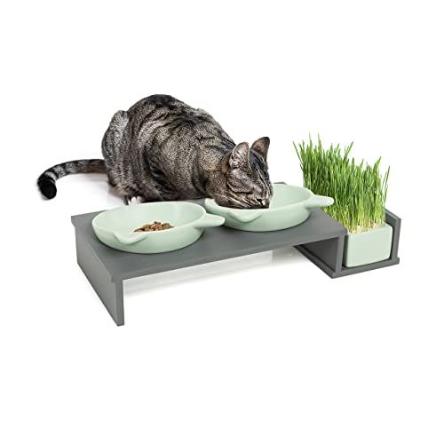 CanadianCat Company | Katzennapf erhöht, Futternapf Katze Cat Diner mit DREI Keramik Näpfen, Ø14,5 cm Fressnapf, Futterschale, Futterstation, mintgrün/grau von CanadianCat Company