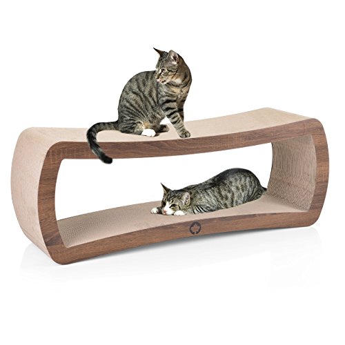 CanadianCat Company | Jumbo Lounge | Galaxy XXL | Walnuss Holzoptik | 1 Meter | Neu von CanadianCat Company