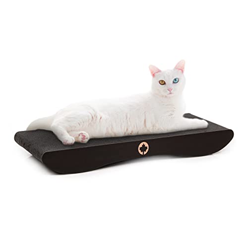 CanadianCat Company | Katzen Kratzbrett Comet | Black Edition - L | ca. 60 x 29 x 7 cm von CanadianCat Company