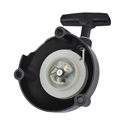 Cancanle Rücklaufstarter für Stihl BR600 BR500 BR550 Benzingebläse 4282 190 0303 Cancanle Rücklaufstarter für Stihl BR600 BR500 BR550 Benzingebläse 4282 190 0303 von Cancanle