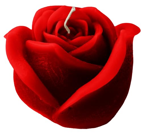 Cereria Di Giorgio handgefertigte Kerzen – Rosenknospen – Farbe Rot – nicht parfümiert – 8 x 8 cm – mit Geschenkbeutel Cereria Di Giorgio handgefertigte Kerzen – Rosenknospen – Farbe Rot – nicht parfümiert – 8 x 8 cm – mit Geschenkbeutel von Candele di Giorgio