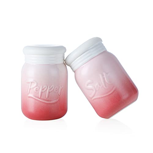Keramik Salz und Pfeffer Streuer Set 2-teilig, Candiicap Salzstreuer und Pfefferstreuer mit Verschlusskappe, Feuchtigkeits- und Geruchsbeständig(Sakura Rosa) von Candiicap