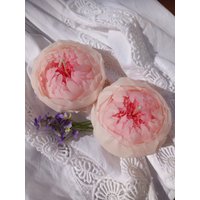 Geschenkkerze Weiße Pfingstrose | Blumenkerze Bienenwachs Rosenkerze Hochzeit Kerze Geburtstagskerze Geschenk Hochzeitsdeko von CandleFee