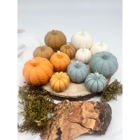Kürbisse-Pumpkins-Herbst-Herbstdeko-Autumn-Herbstspecial-Dekoinsperation-Geschenkideen-Herbstfans-Pumpkinliebe-Überraschungsgeschenke von CandlesbyNadja