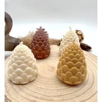 Tannenzapfen-Tannenzapfenkerzen-Herbstdekoration-Herbstdeko-Gipsdekoration-Handgemacht-Rapswachs von CandlesbyNadja