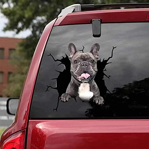 Candy101 Autoaufkleber Hund - 3D Bulldogge Auto Fenster Aufkleber Lustig, Autofenster Tier Schild Statisch Haftende PVC Aufkleber für Auto, Kühlschrank, Wand DIY Kunst Fensterdeko Sticker (G-30cm) von Candy101