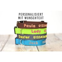 Hundehalsband Halsband Hund - Personalisiert Bestickt in Wunschfarben Mit Hundename, Telefonnummer Oder Wunschtext 25mm Acetal Schnalle Hundehalsband Halsband Hund - Personalisiert Bestickt in Wunschfarben Mit Hundename, Telefonnummer Oder Wunschtext 25mm Acetal Schnalle von Caniclix