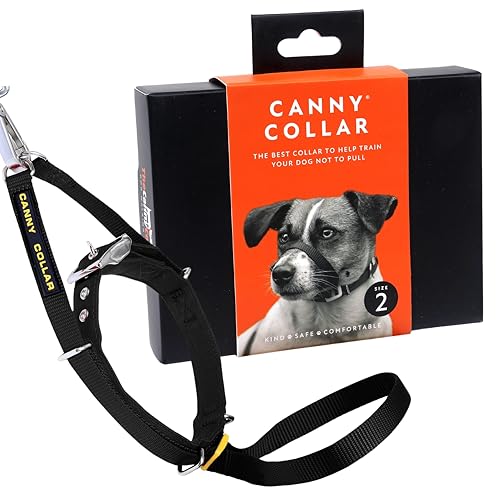 Canny Collar Hundehalfter | Anti-Zug-Halsband für kleine Hunde | Verhindert, DASS Ihr Hund an der Leine zieht | Kopfgeschirr Mit Gepolstertem Halsband | Schwarz - Größe 2 Canny Collar Hundehalfter | Anti-Zug-Halsband für kleine Hunde | Verhindert, DASS Ihr Hund an der Leine zieht | Kopfgeschirr Mit Gepolstertem Halsband | Schwarz - Größe 2 von Canny