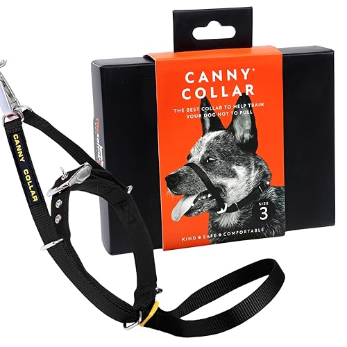 Canny Collar Hundehalfter | Anti-Zug-Halsband für mittelgroße Hunde | Verhindert, DASS Ihr Hund an der Leine zieht | Kopfgeschirr Mit Gepolstertem Halsband | Schwarz - Größe 3 Canny Collar Hundehalfter | Anti-Zug-Halsband für mittelgroße Hunde | Verhindert, DASS Ihr Hund an der Leine zieht | Kopfgeschirr Mit Gepolstertem Halsband | Schwarz - Größe 3 von Canny