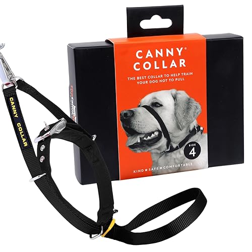 Canny Collar Hundehalfter | Anti-Zug-Halsband für mittelgroße Hunde | Verhindert, DASS Ihr Hund an der Leine zieht | Kopfgeschirr Mit Gepolstertem Halsband | Schwarz - Größe 4 Canny Collar Hundehalfter | Anti-Zug-Halsband für mittelgroße Hunde | Verhindert, DASS Ihr Hund an der Leine zieht | Kopfgeschirr Mit Gepolstertem Halsband | Schwarz - Größe 4 von Canny